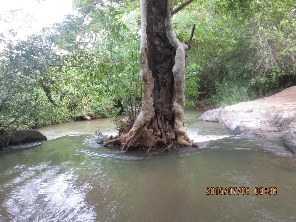 Sigiriya River Side Resort المظهر الخارجي الصورة
