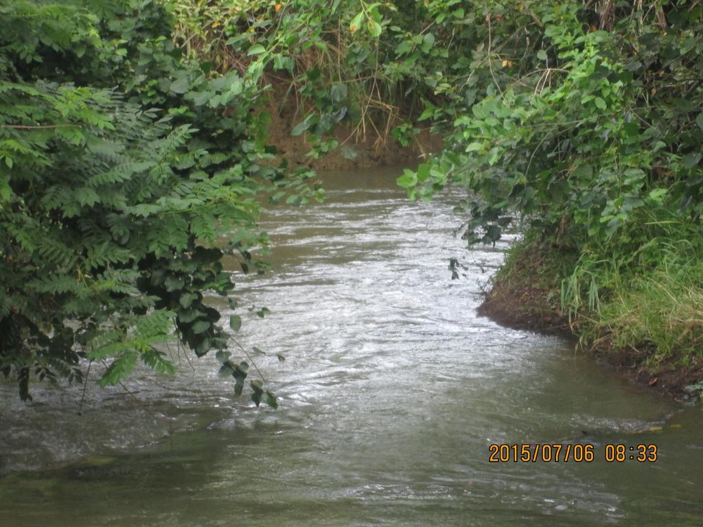 Sigiriya River Side Resort المظهر الخارجي الصورة