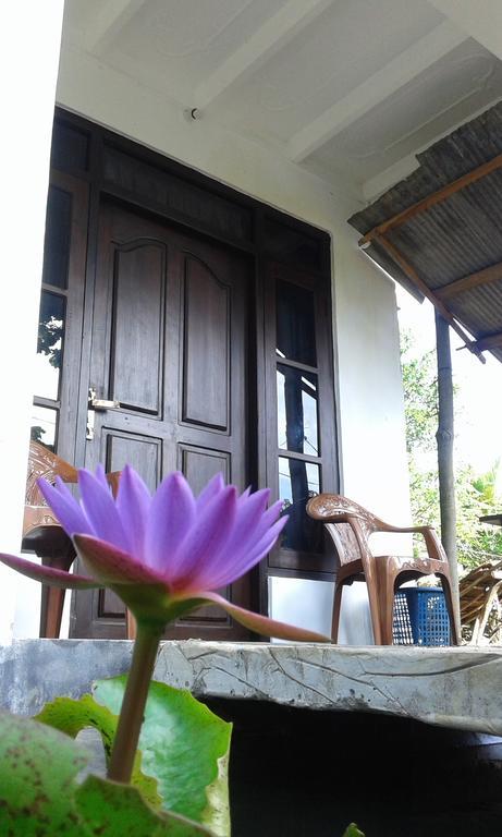 Sigiriya River Side Resort المظهر الخارجي الصورة