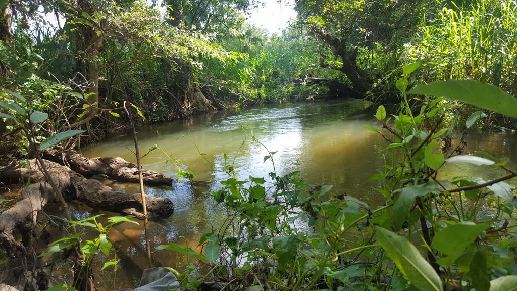 Sigiriya River Side Resort المظهر الخارجي الصورة