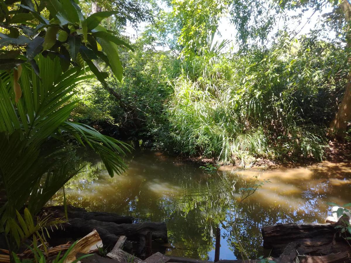 Sigiriya River Side Resort المظهر الخارجي الصورة